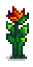 Bird of Paradise Flower Stage 6.png